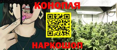 jwh Нальчик