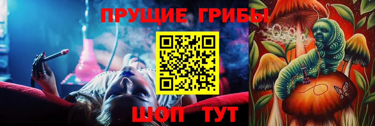 Северобайкальск  Псилоцибиновые грибы мухоморы  Псилоцибиновые грибы прущие грибы  Вход с VPN 